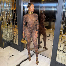 Load image into Gallery viewer, Wild Nights Leopard Mesh Pants Set