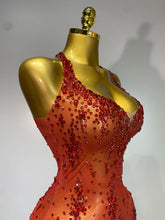 Load image into Gallery viewer, Isabella Mesh Dress