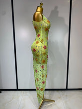 Load image into Gallery viewer, Layna Mesh Dress