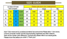 Load image into Gallery viewer, Sparkly Rhinestones Mesh Dress FancySticated