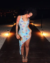 Load image into Gallery viewer, Layna Mesh Dress