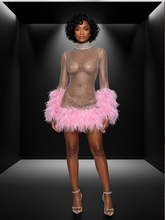 Load image into Gallery viewer, Abbi Mesh Feather Mini Dress
