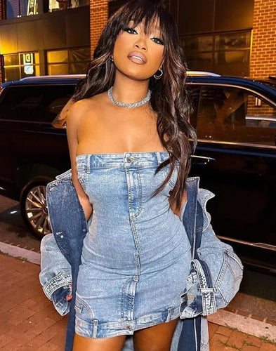 Dayna Denim Dress FancySticated