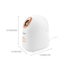 Load image into Gallery viewer, Humidifier Skin Beauty + Blackhead Removal FancySticated
