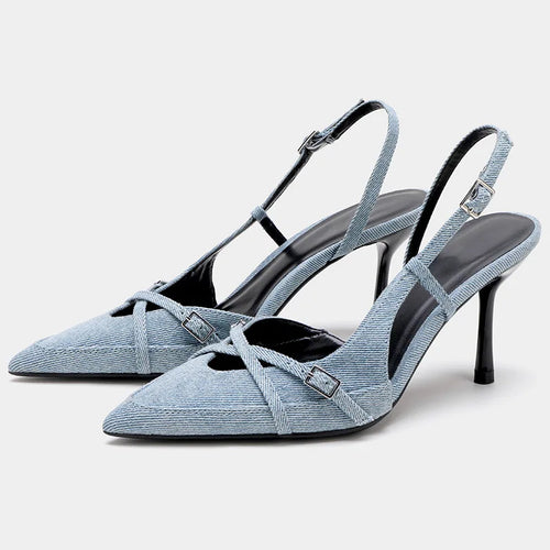 Lexica Pointed Toe Heels FancySticated