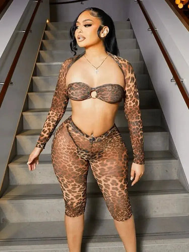 On Top Mesh Pants Set FancySticated