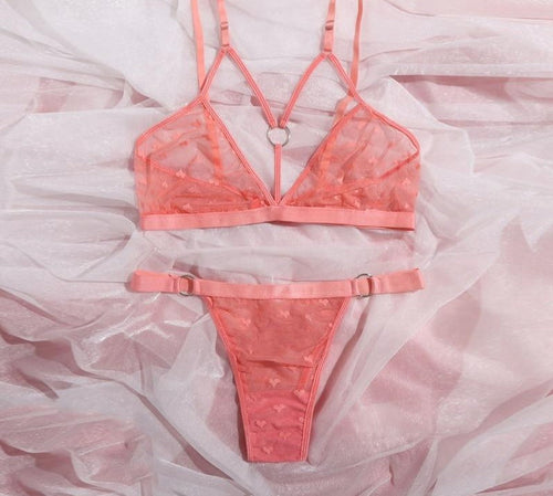 Pink Heart Mesh Lingerie Set FancySticated