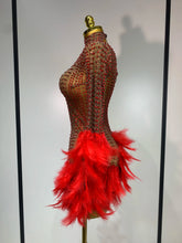 Load image into Gallery viewer, Abbi Mesh Feather Mini Dress
