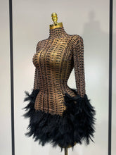 Load image into Gallery viewer, Abbi Mesh Feather Mini Dress
