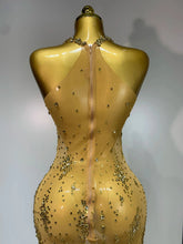 Load image into Gallery viewer, Isabella Mesh Dress
