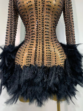Load image into Gallery viewer, Abbi Mesh Feather Mini Dress
