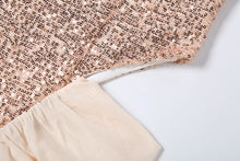 Load image into Gallery viewer, Vanna Mesh Sequin Dress
