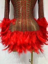 Load image into Gallery viewer, Abbi Mesh Feather Mini Dress
