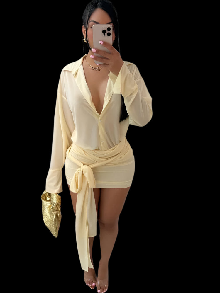 A Sheer Mesh Shirt Dress