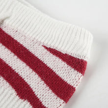 Load image into Gallery viewer, Star Stripe Knit Shorts
