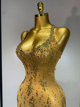 Load image into Gallery viewer, Isabella Mesh Dress
