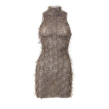 Load image into Gallery viewer, Tia Mesh Ruched Mini Dress FancySticated
