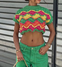 Load image into Gallery viewer, Vintage Knit Crop Top FancySticated
