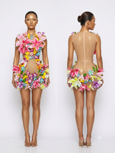 Load image into Gallery viewer, Flowers Mesh Mini Dress
